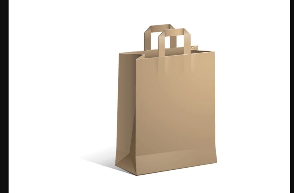 Update more than 66 brown paper bag mumbai latest in.duhocakina