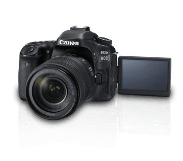 EOS 80D EF-S18-135mm IS USM