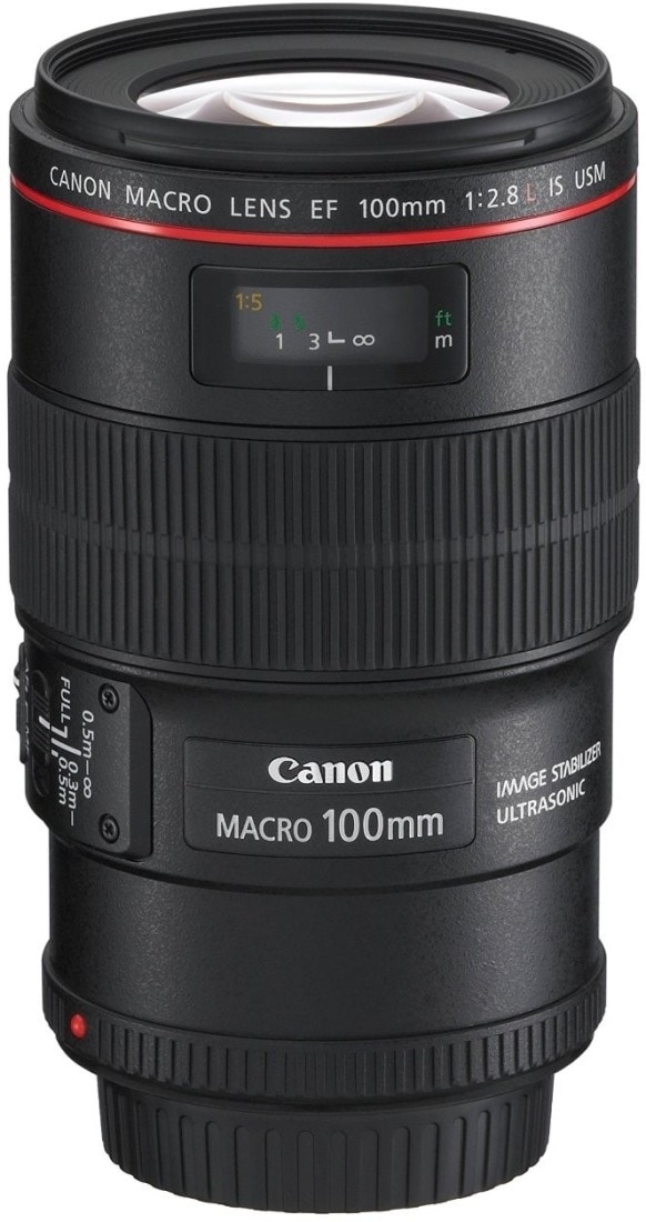 CANON EF Macro IS USM Camera Lens (100 mm f in Visakhapatnam