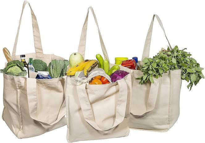 Canvas Shopping Bags in Chennai at ₹ 100 ₹ 1,500 Pc (MOQ:5