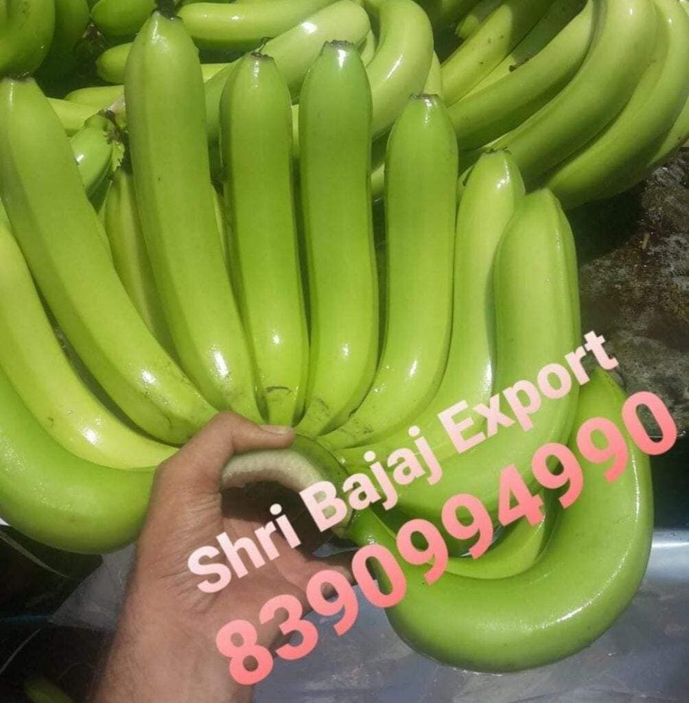 Cavendish G9 Banana 011 in Bhusawal at best price by Shri Bajaj