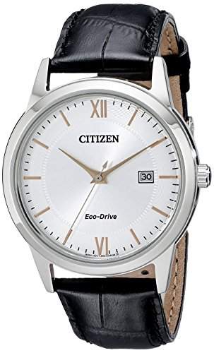 citizen eco drive stainless steel watch