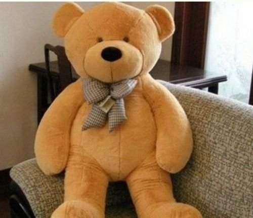 teddy bear 4ft price
