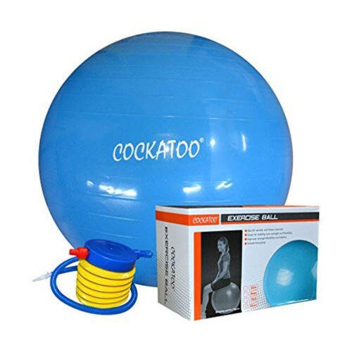 Cockatoo Gym Ball 75 Cms (GB03) in Hyderabad at best price by Nir