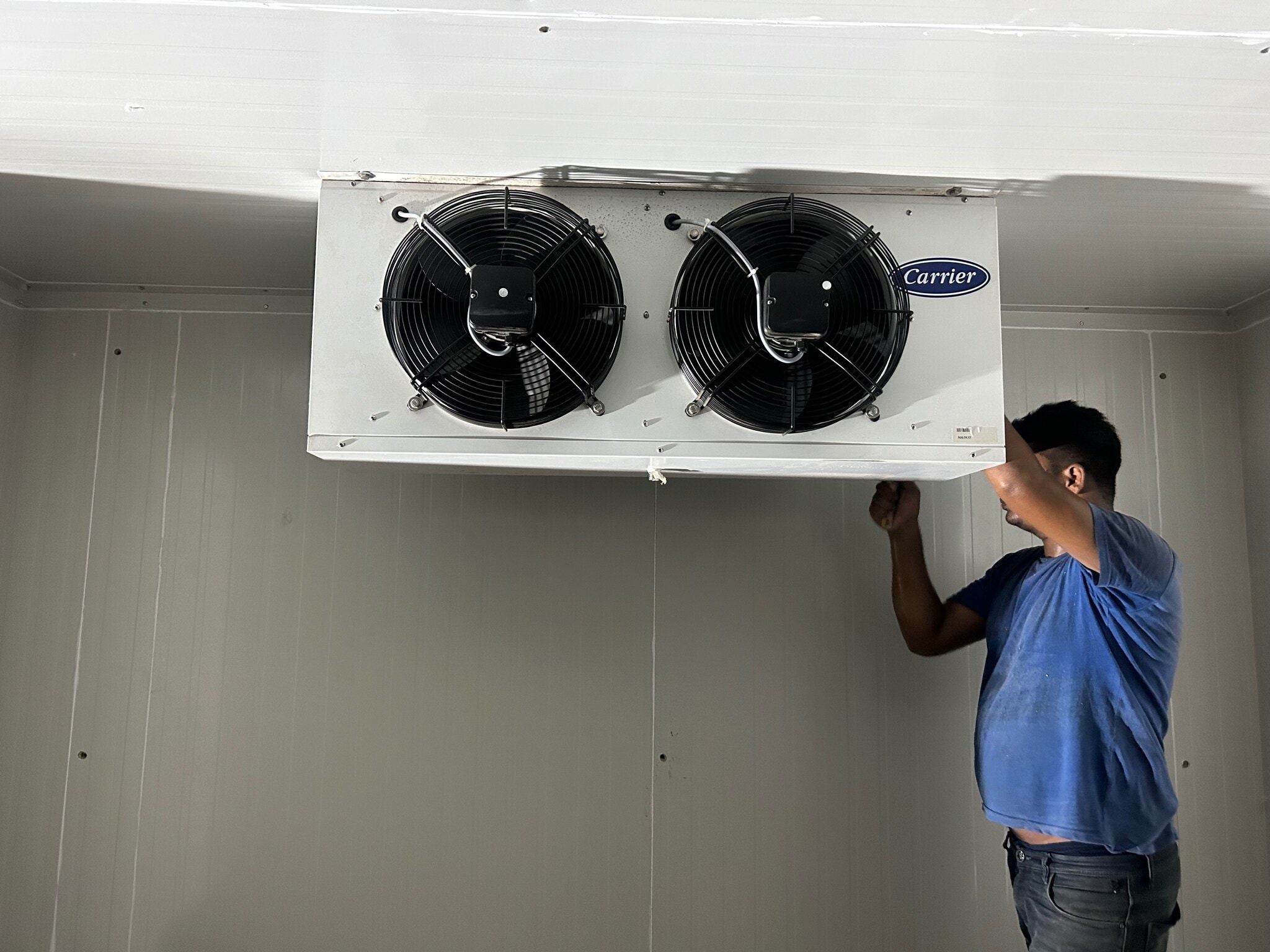 Cold Storage Installation