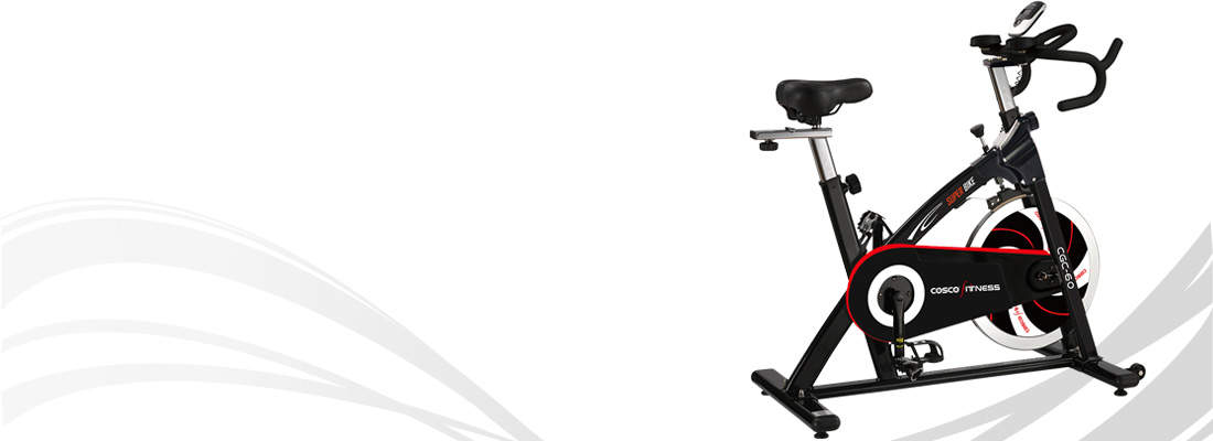 Buy Cosco Cgc 60 Group Cycling Bike 