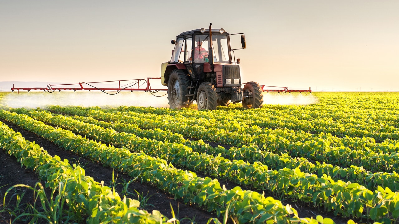 Crop Production Management in Bangalore at best price by Sandeep Reddy