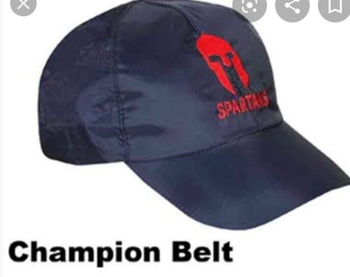 rain cap manufacturers