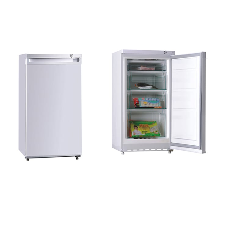 Vertical Chest Freezer 800 ltr in Delhi at ₹ 4,000 ₹ L Pc