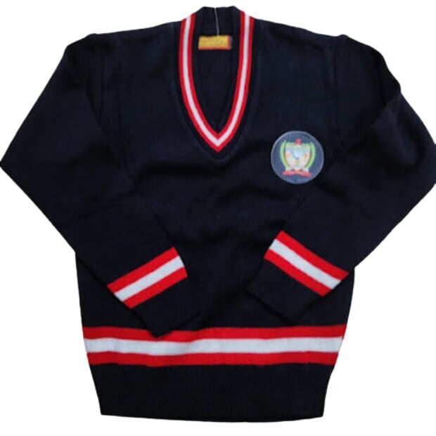 Deffodil School Uniform Full Sleeves Sweater in Varanasi at ₹ 175