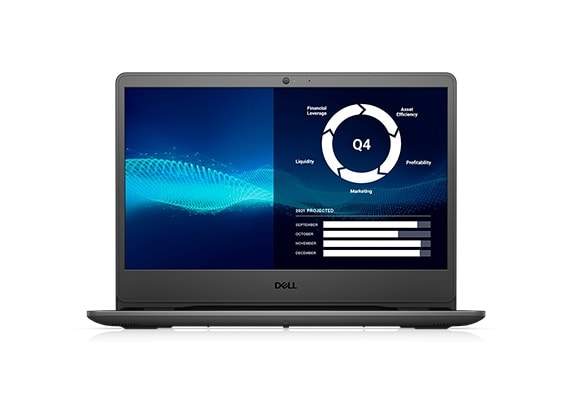DELL Vostro 14 3405 AMD Ryzen GB DDR4 256 GB Windows 10