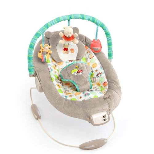 disney baby swing