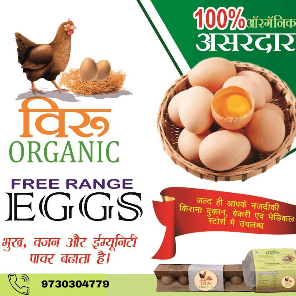 Eggs in Nagpur at ₹ ₹ 10 Pc by Viru Organic Eggs Justdial