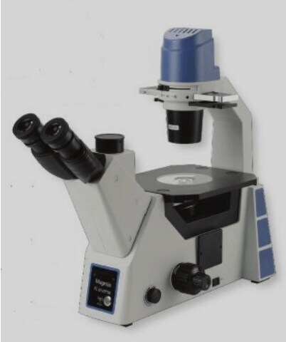 Vision Microscope Euromex Inverted Phase Contrast Research Microscope ...