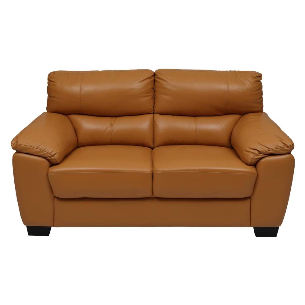 Green residential area in Kondapur