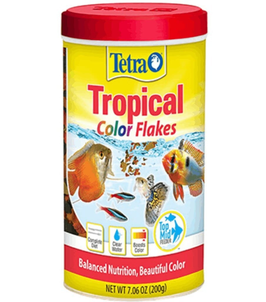 Fish Food Colour Flakes in Delhi at ₹ 1,000 ₹ 4,000 Kg by