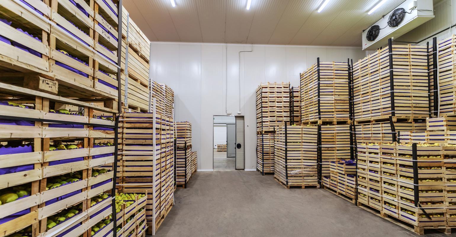 Food Product Cold Storage Services in Delhi at best price by Arihant ...