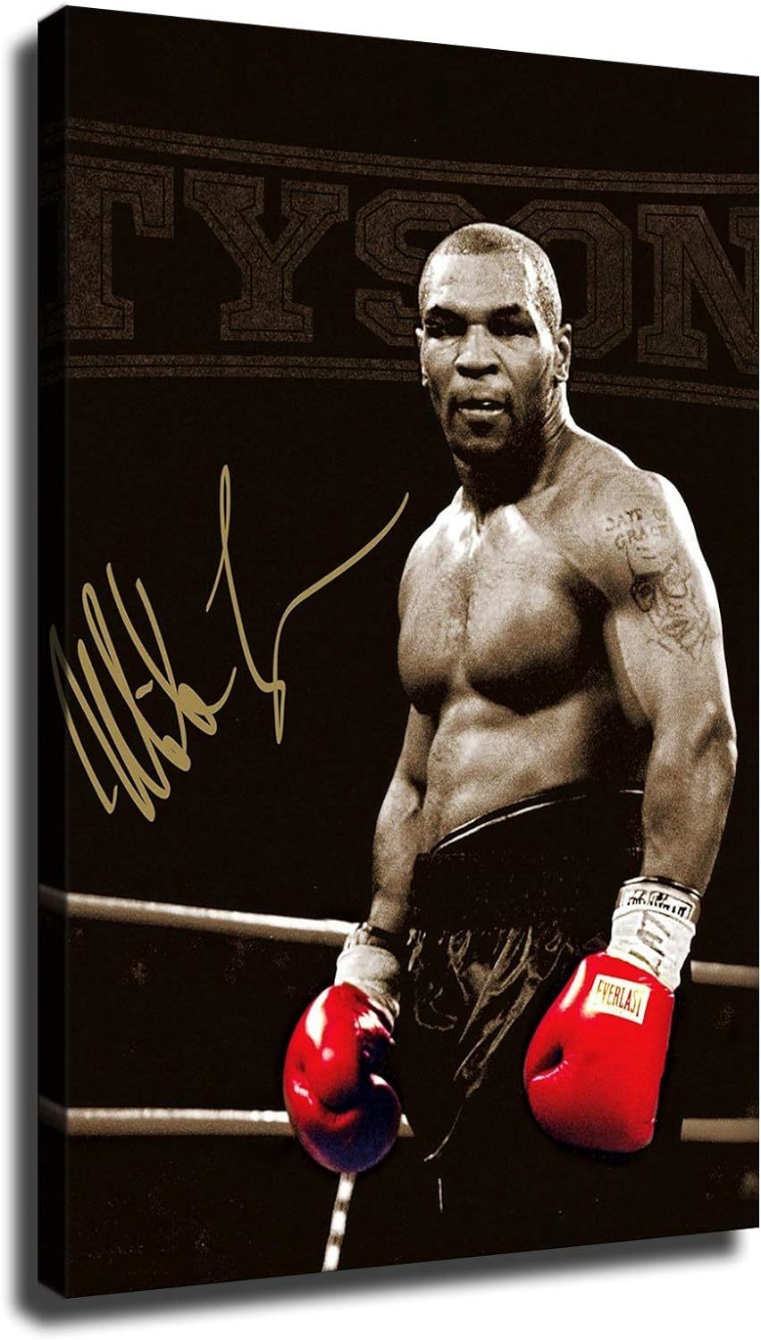 Framed Mike Tyson Poster in Davangere at best price by Chandan