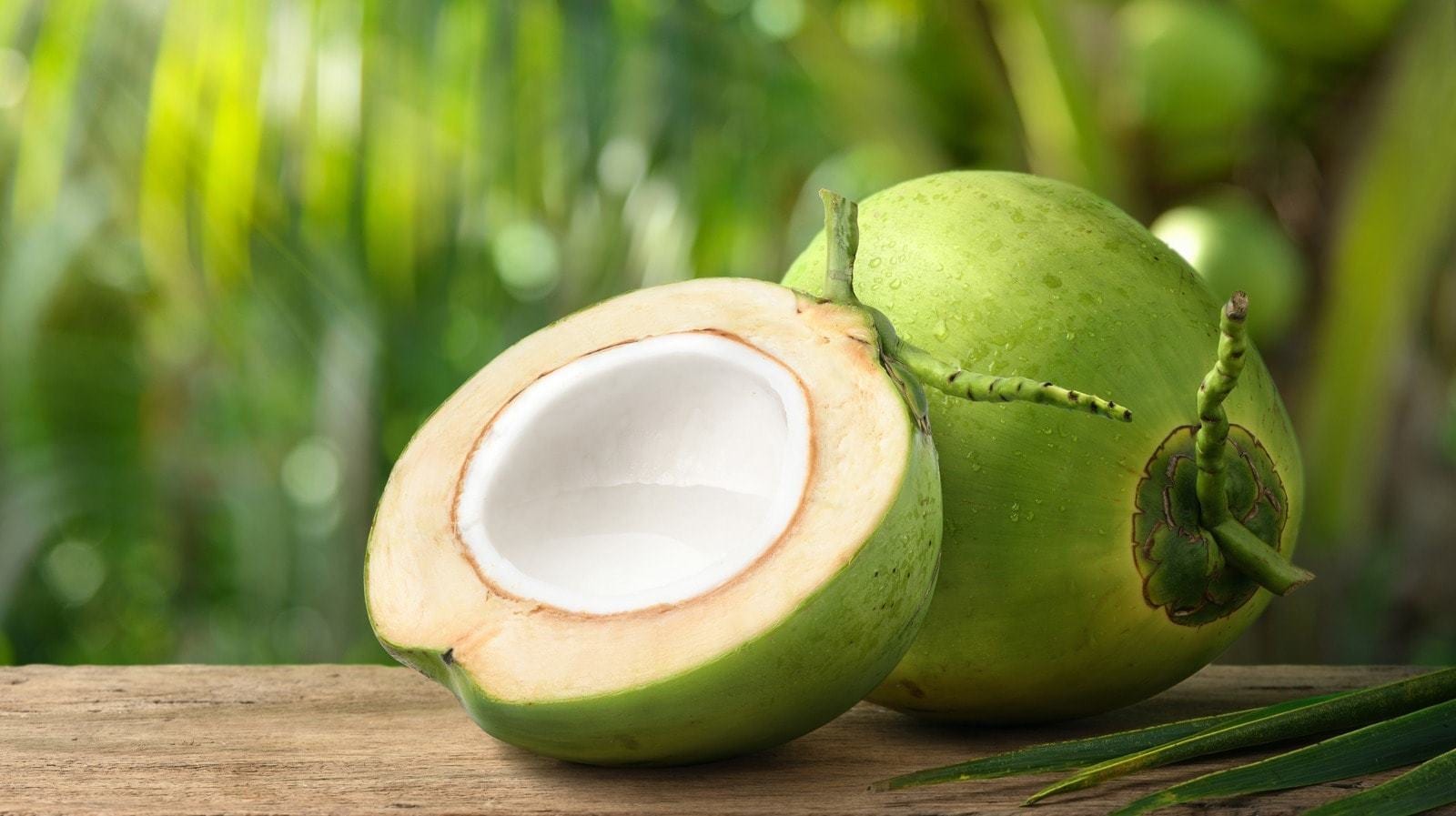 cocoonut malai