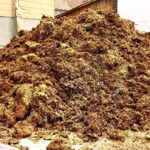 dünger aus kakaoschalen Pure Pflanzenkohle aus Kakaoschalen main image 1