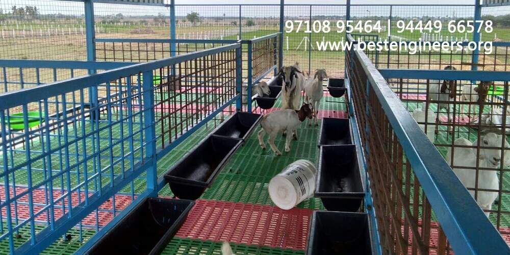 Goat Shed