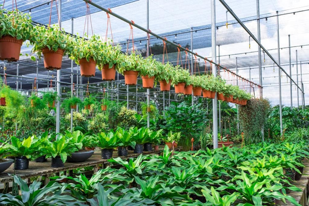 Grow Super 505 in Indore at ₹ 1.50 L - ₹ 1.80 L / Ltr by Growill