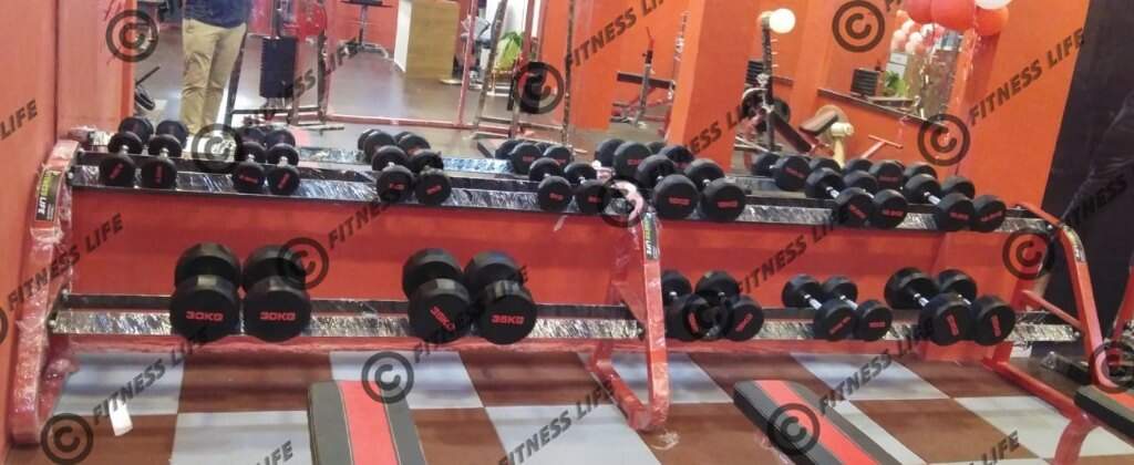 Gym Equipment Viva Dumbbells Online Viva Fitness X-200 Plate