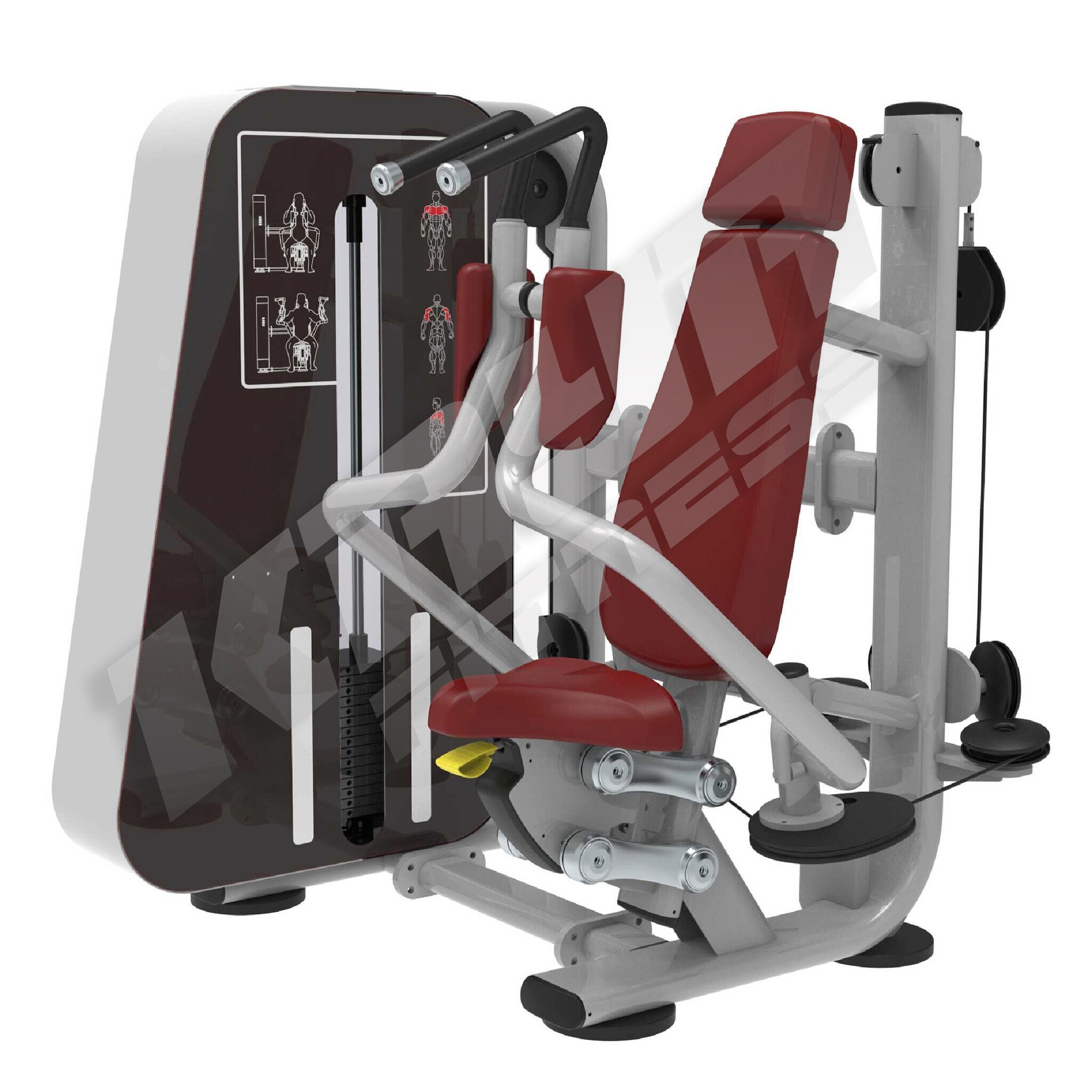 Kolkata Stores Near Me That Sell Exercise Equipment Kolkata