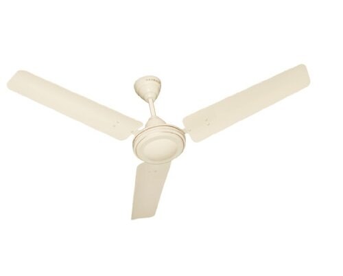 Buy Havells Velocity 900 mm Ceiling Fan 
