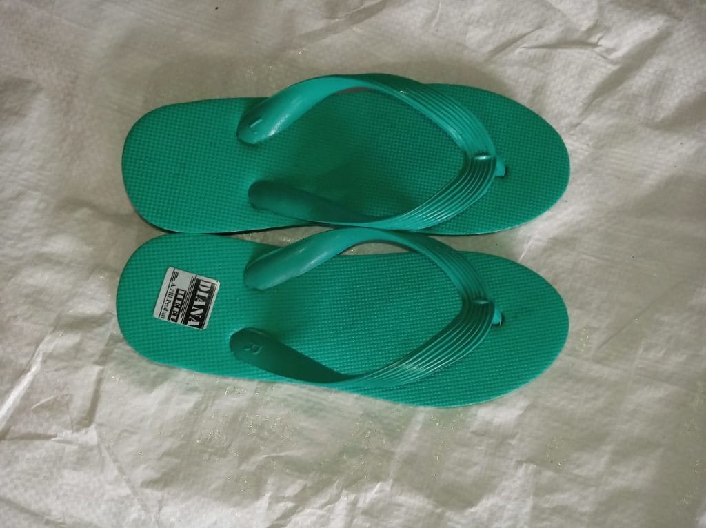 Delhi Pooja Hawai Chappal Eva Ladies Chappal 2025