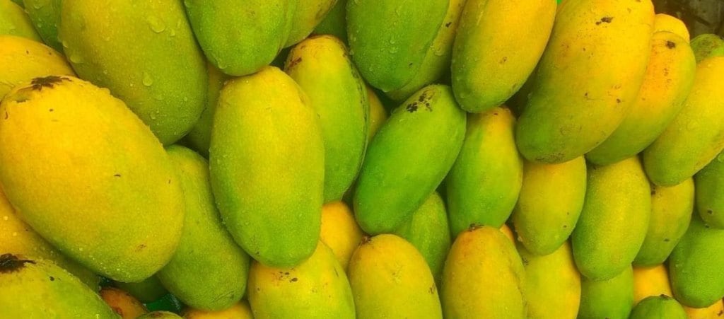 Healthy Mango Fresh Fruit in Delhi at ₹ 85 Kg by India Fruit