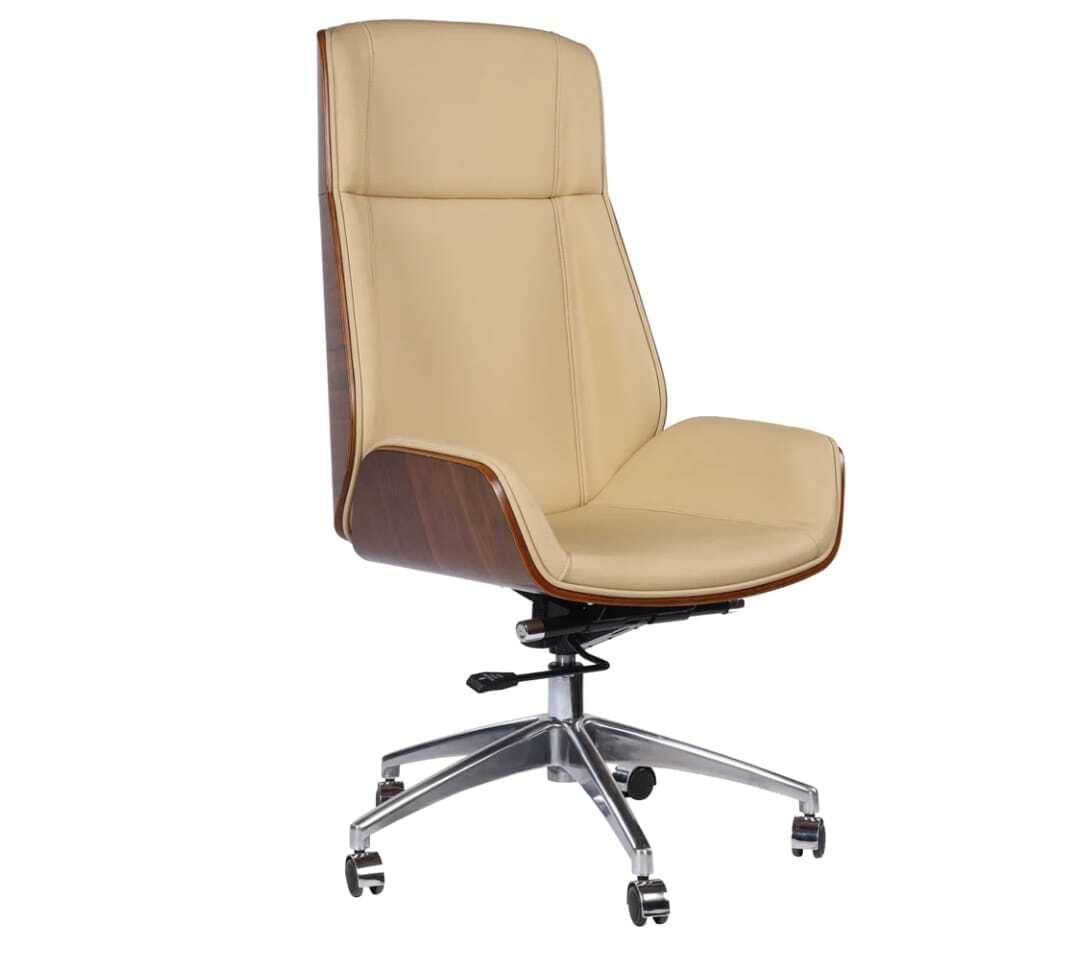 Hector Executive Leather Office Chair with Aluminum Base in Mumbai