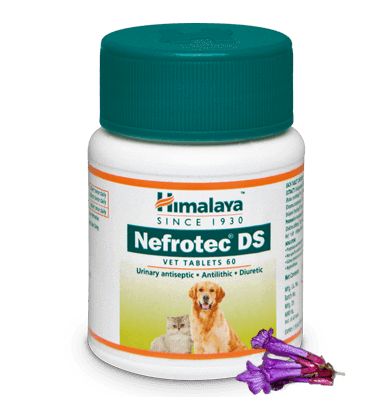 Himalaya Nefrotec Ds Vet Tablet in Bangalore at ₹ 150 ₹ 160 by