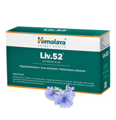 Himalaya Liv 52 Vet in Agra at ₹ 437 ₹ 450 by Pet Man Justdial
