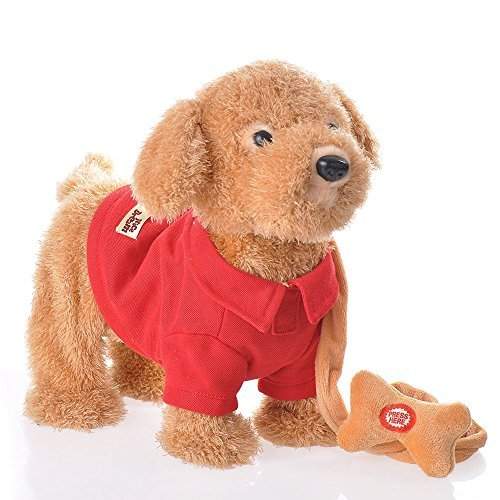 remote control walking dog