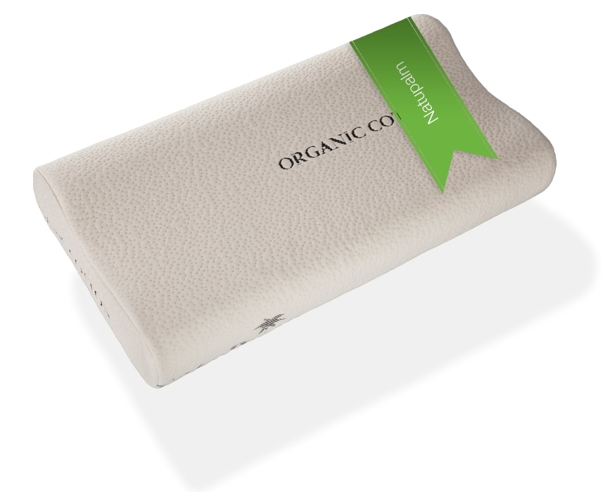 Hush 13 X 25 Natupalm Pillow in Mumbai at ₹ 5,523 ₹ 5,875 by