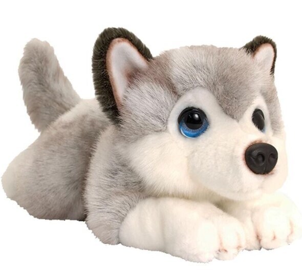 Husky Stuffed Animal Soft Toy in Ahmedabad at ₹ 400 Pc by K K