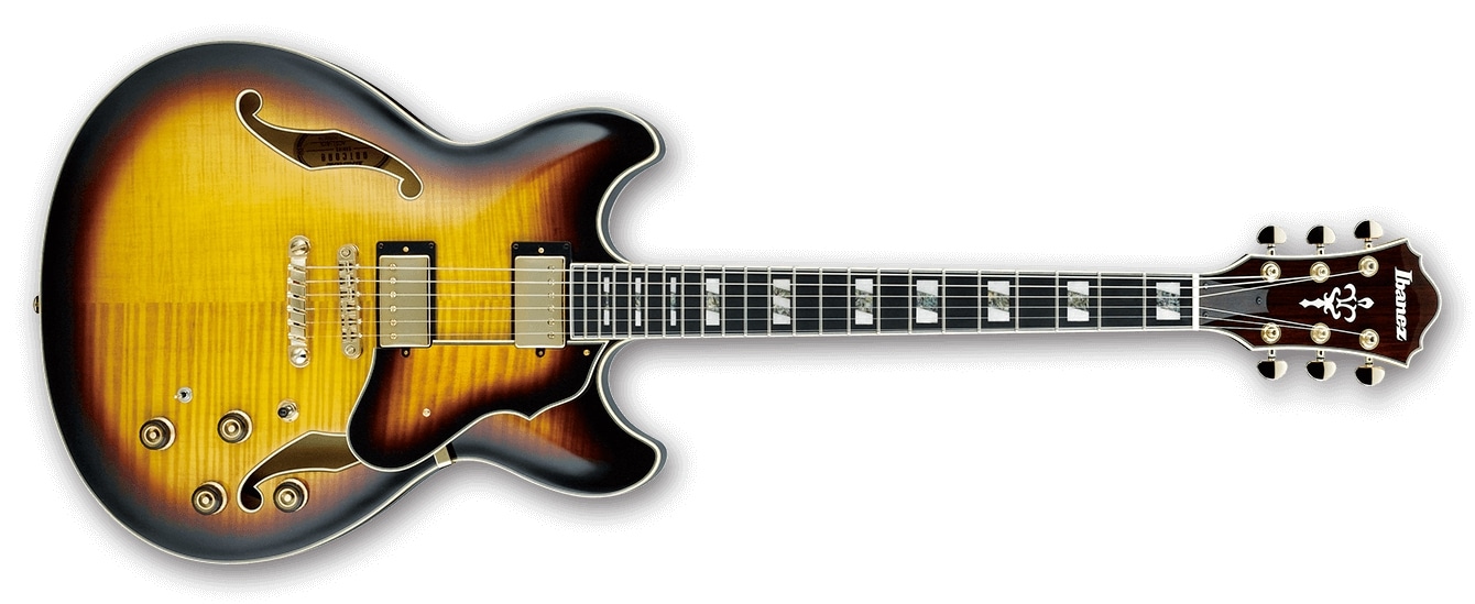 Hollow Body Guitars in Kolkata Dealers, Manufacturers & Suppliers