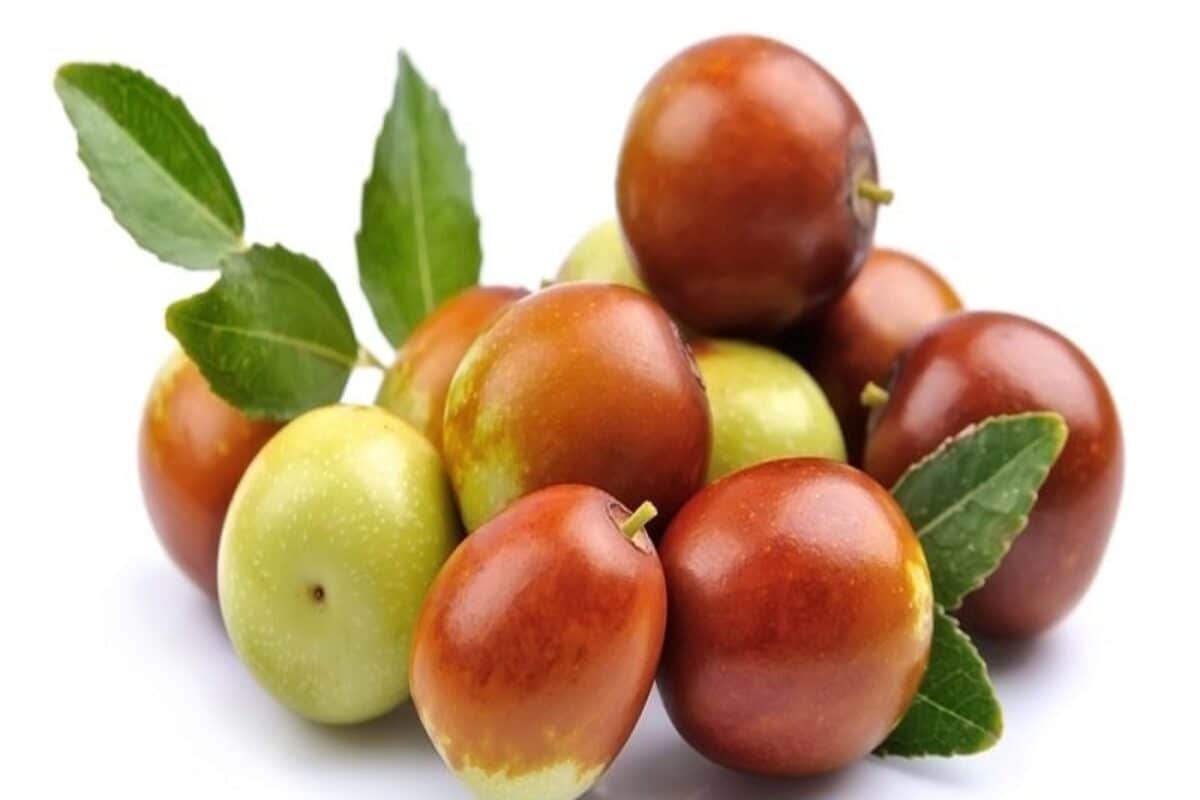 Jujube Fruit Jam - 250g Jar in Coimbatore at best price by