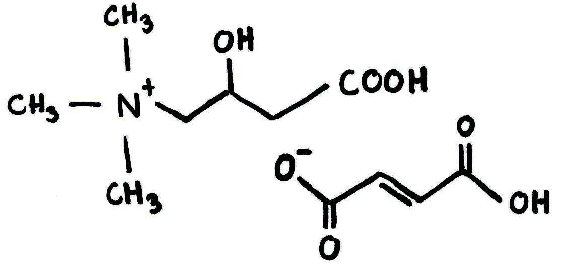 l-carnitine fumarate structure Carnitine (L-carnitine) molecule. Structural chemical formula and molecule model. Vector illustration Stock Vector Image & Art is an important compound BulkSupplements L-Carnitine Fumarate Powder 100