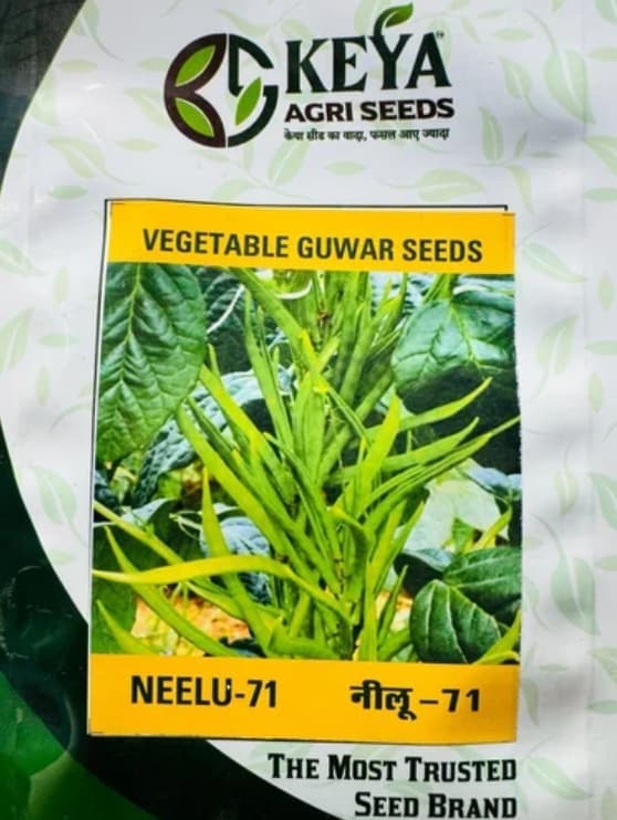 KEYA F1 Kala Jadu 21 Hybrid Watermelon Seed 250 Gm in Jaipur at