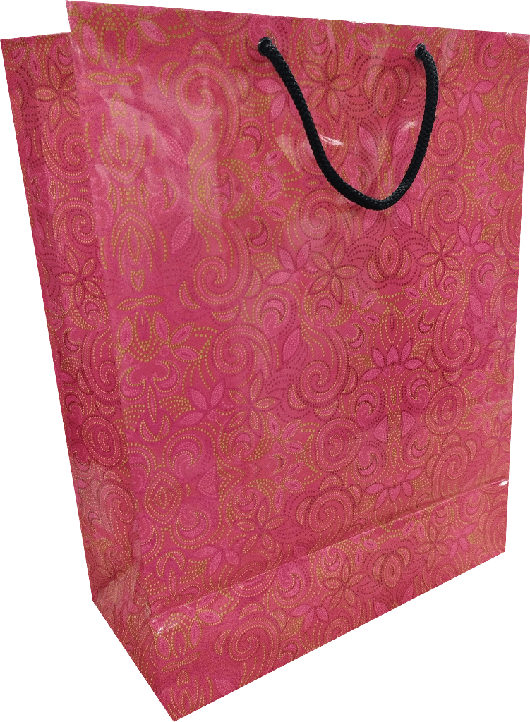 Laminated paper bag 15*11*4 inc (10 pcs pack) in Delhi at ₹ 330