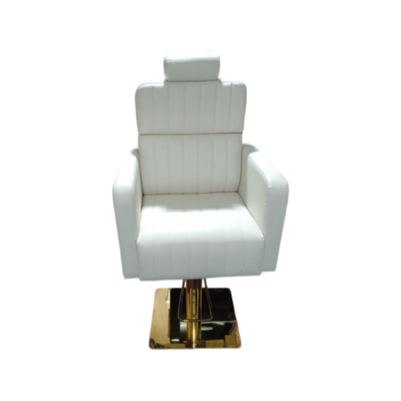 Leather Hydraulic Salon High Back Chair, White in Delhi at