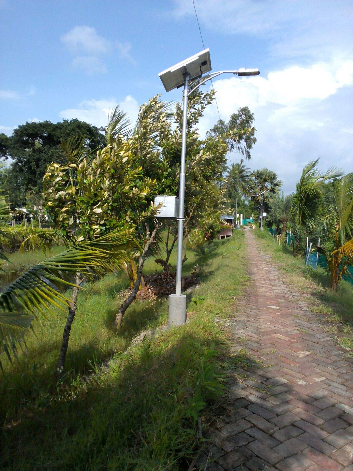 JYOTY SOLAR POWER LED Street Light