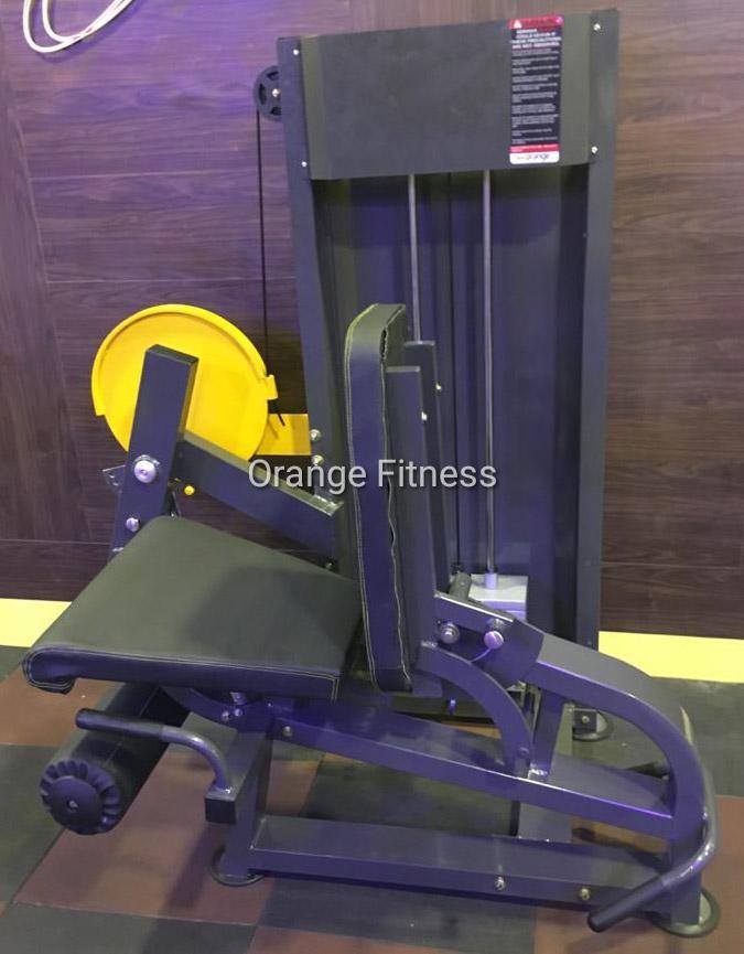 Leg Curl Acme Fitness Near Me Leg Extension Leg Curl In Chennai At