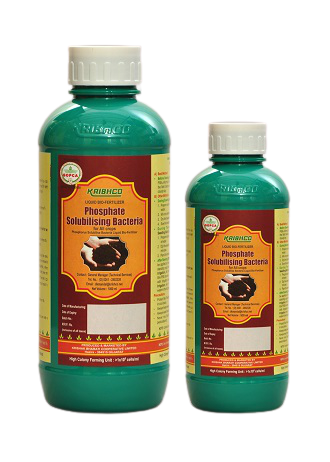 Kribhco Liquid Bio Fertilizer (LBF) Phosphate Solubilizing Bio fertilizer (PSB)