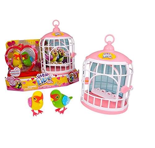 little live pets love birds