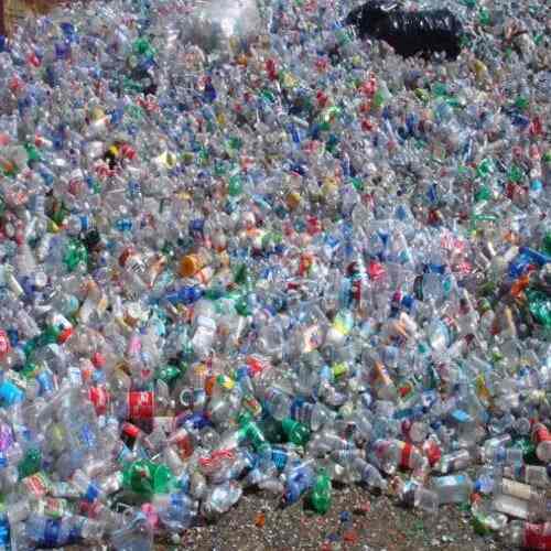 Loose Plastic PET Bottle Scrap For Recycling in Vellore at ₹ 30