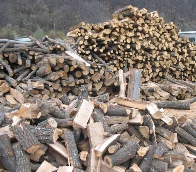 Magno Firewood Logs 50mm in Coimbatore at ₹ 150 ₹ 200 Kg by
