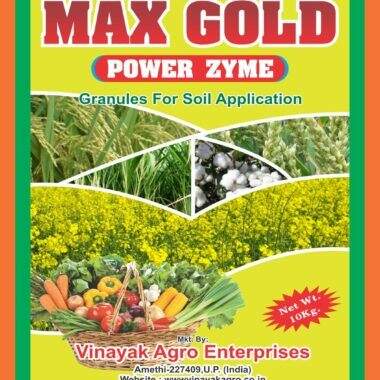 Max Gold Power Zyme in Amethi at ₹ 645 Unit by Vinayak Agro